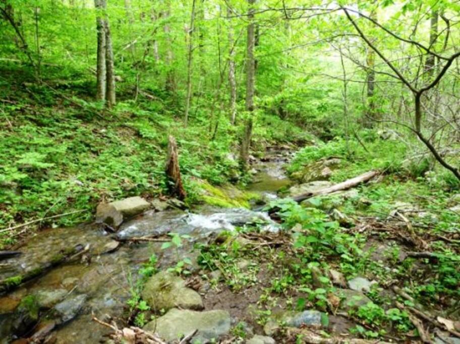 Creek you can hike to