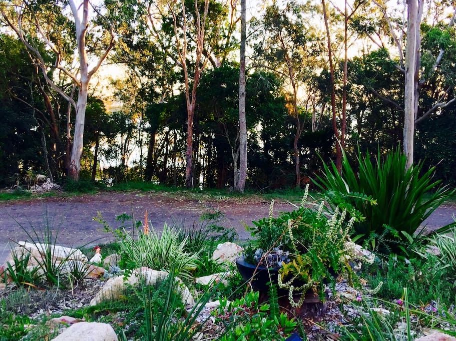 Front garden looking towards the waters of Port Stephens