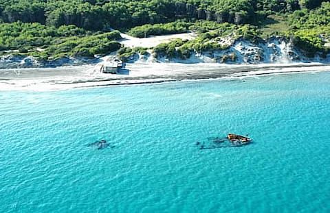 Annuncio Airbnb popolare: Casa Riana a Uggiano La Chiesa