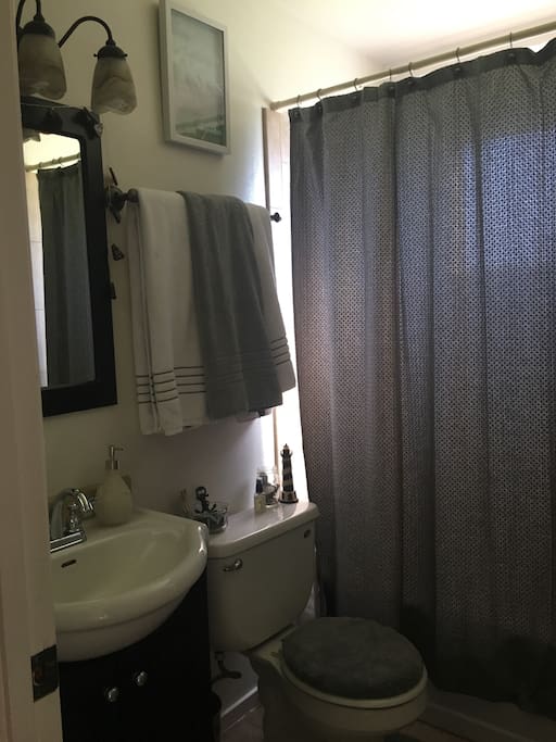 Hair dryer, soap, curling iron, and shampoo provided