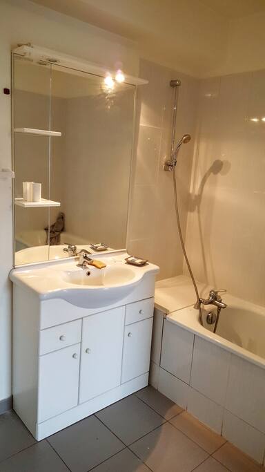 grande salle de bain avec wc integre
