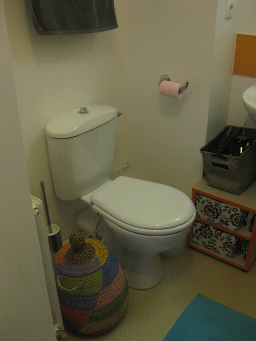 Toilette avec douche