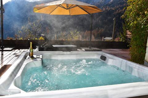 Luxury chalet with hot tub and petanque court