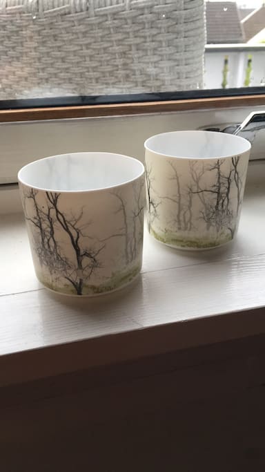Living room window