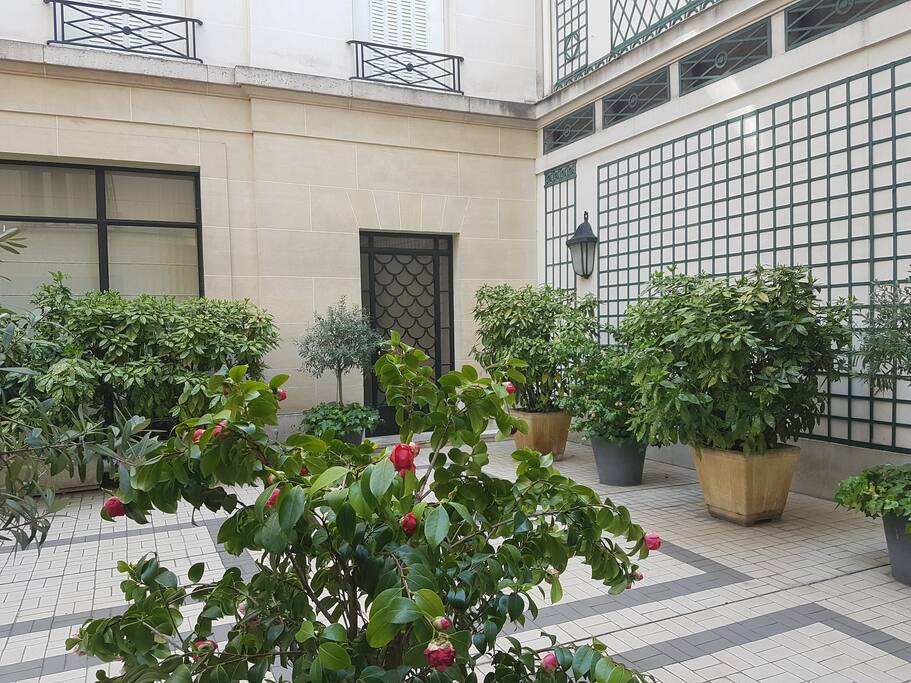 Courtyard Of The Building