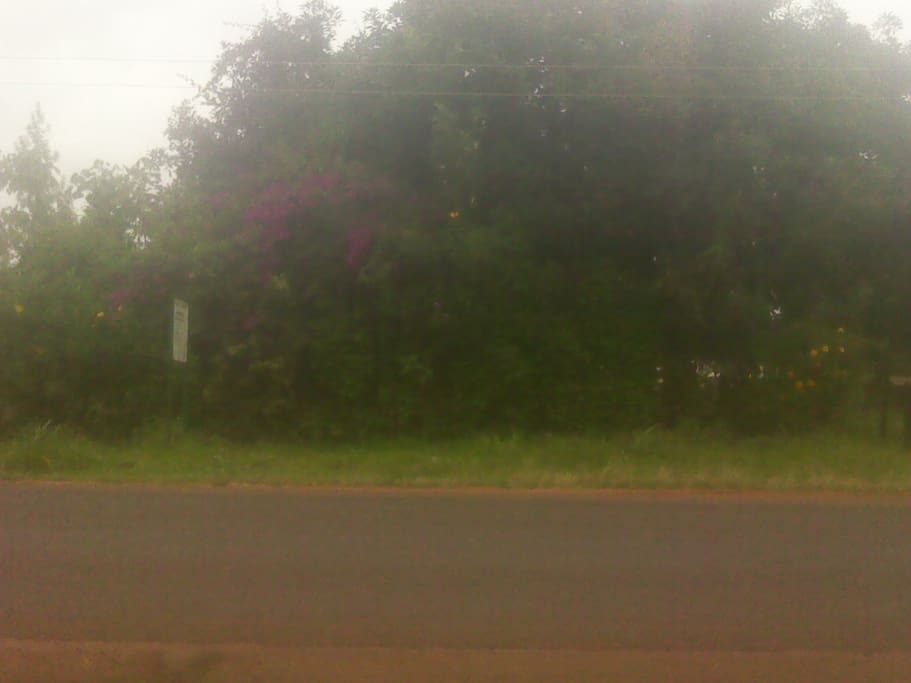 Home Seconds From main Road