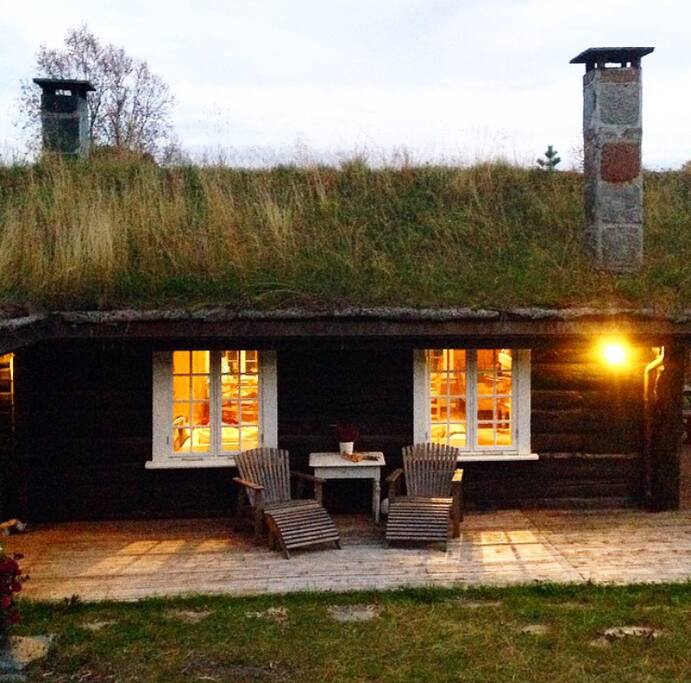Hvilepuls bade sommer og vinter