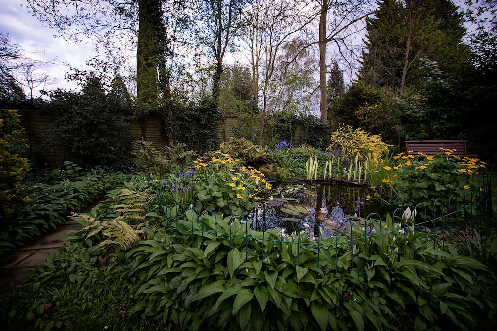 Pond at the end of the garden