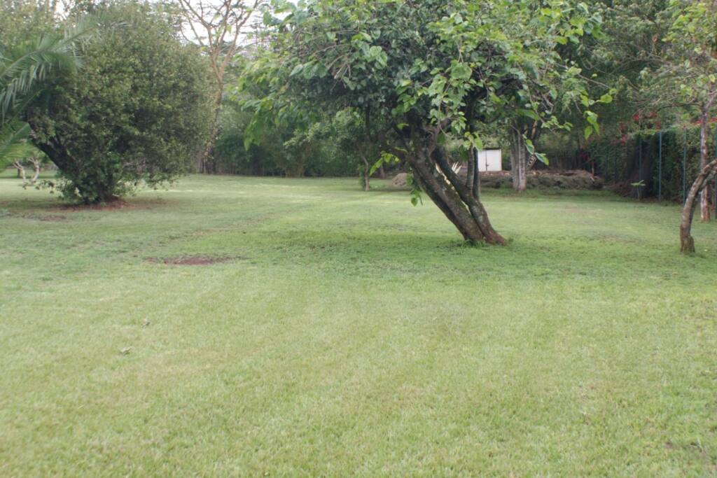 You will get access to our manicured garden which is also lit at night.