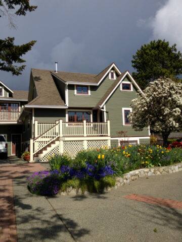 Character Stay across Swan Lake Nature Sanctuary gallery image 4