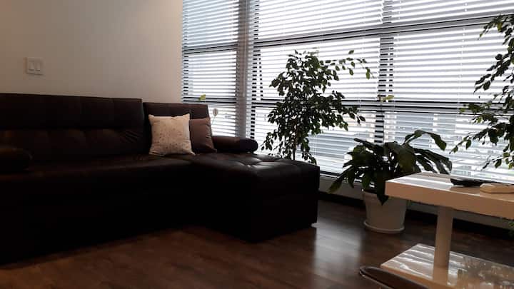 Ოთახი მცენარეებით, რომლებიც ჰაერს ასუფთავებს.