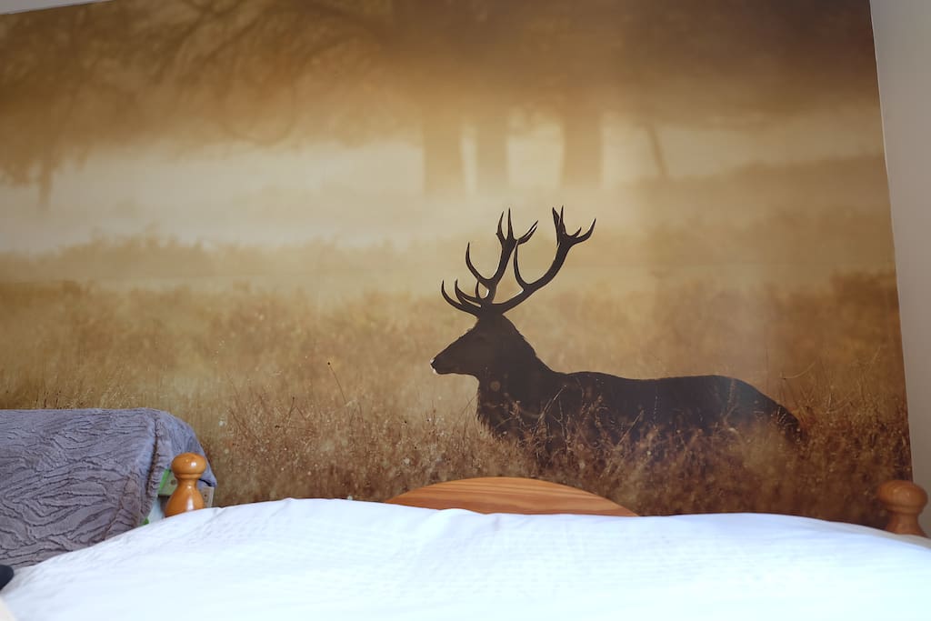 Wake up to a stag in the early morning dew