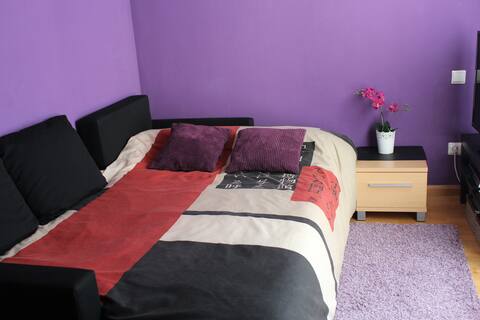 Room with sofa bed. Delicias