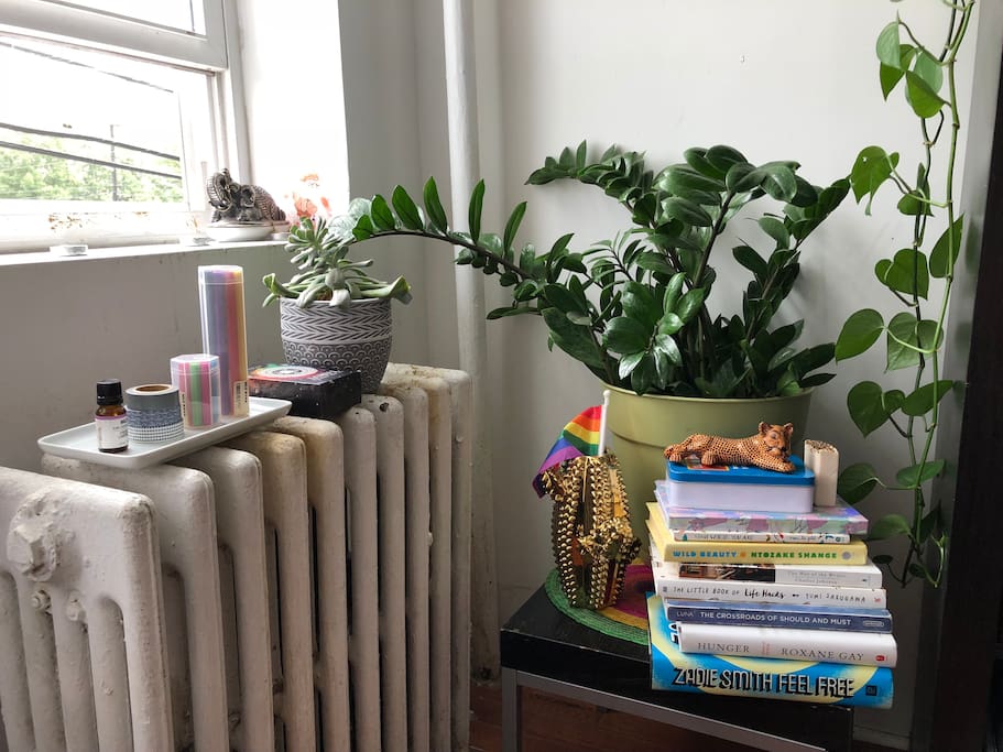 Plants & Muji supplies on the windowsill.