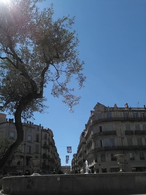 L'appartement se trouve dans le bâtiment de gauche.