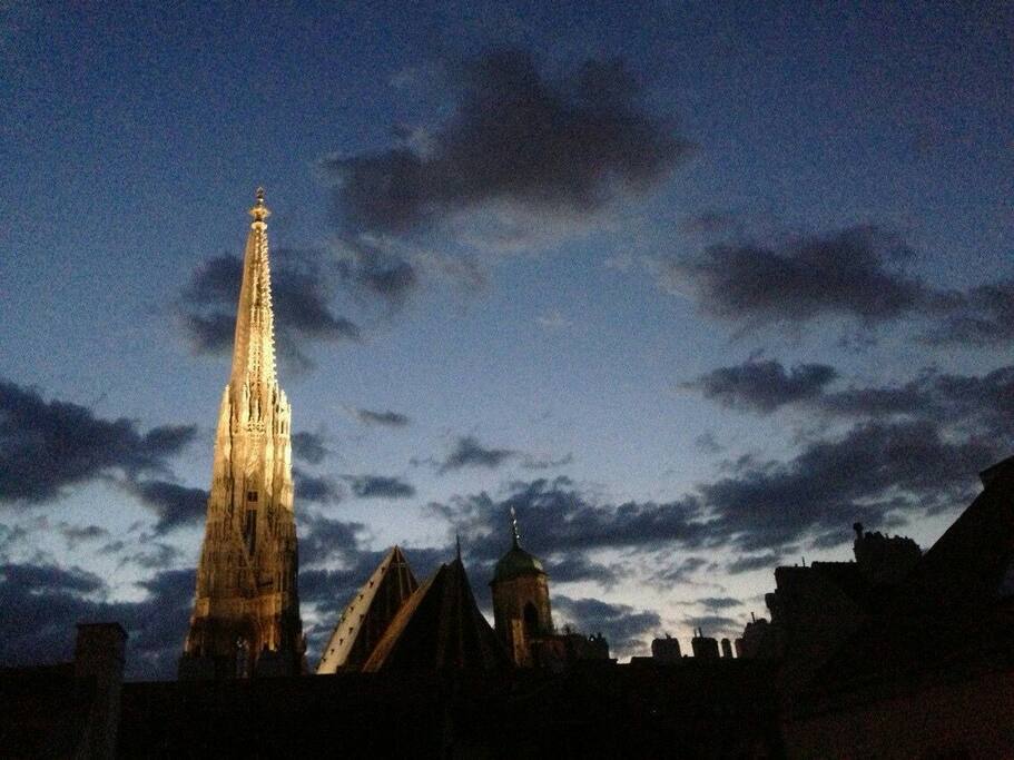 Your view at the Stephans cathedral in the inner centre
