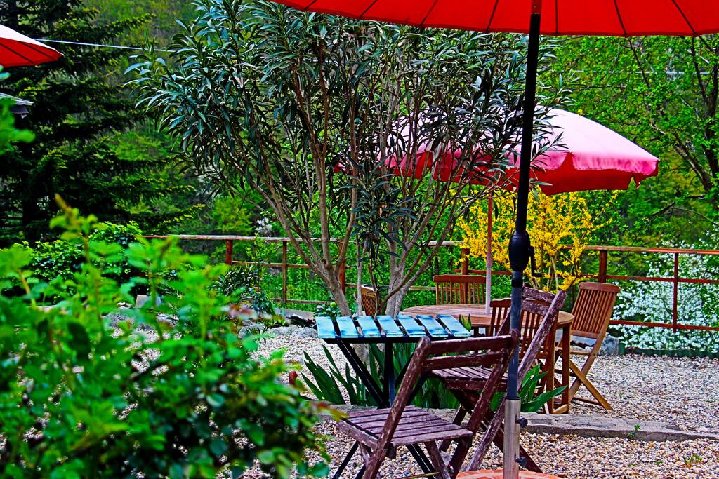 Il giardino