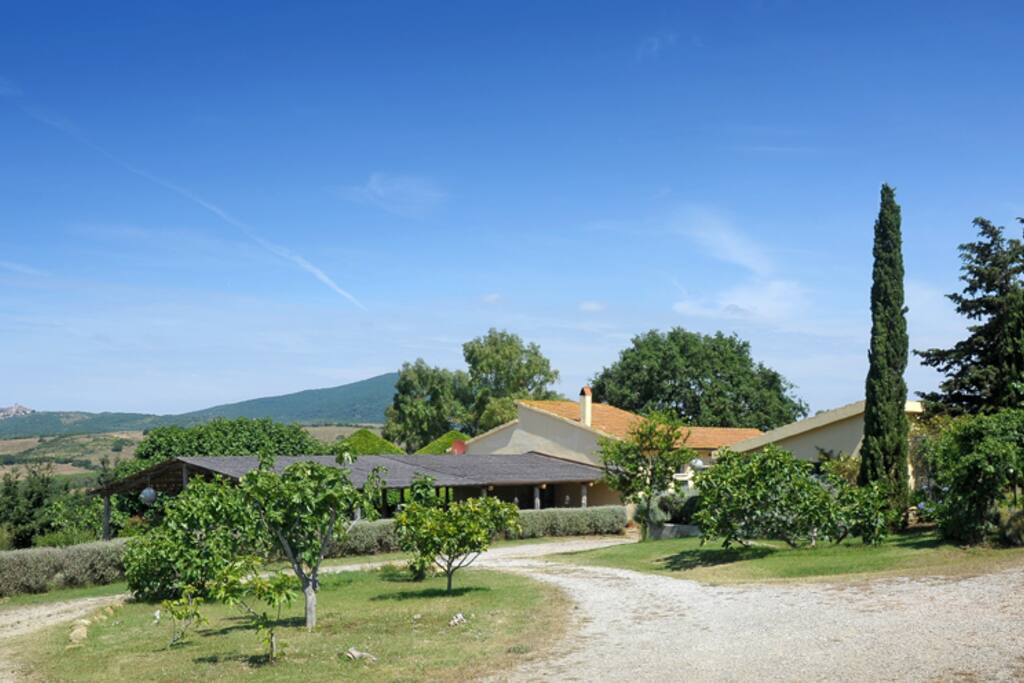 La proprietà vista dalla strada d'accesso