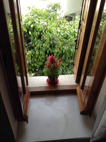 Casa Di Elena gallery image 5