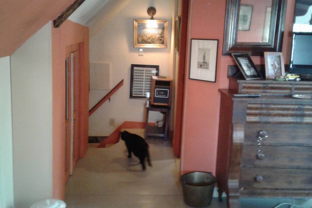 Occasionally Henry or Lucy will deign to visit you.