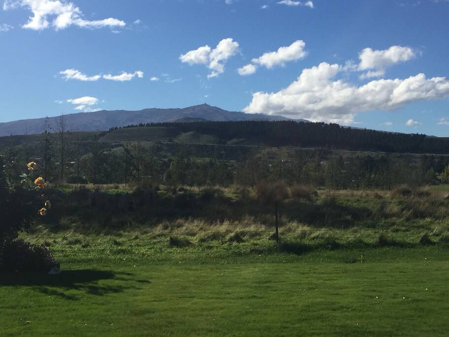 View from the living room
