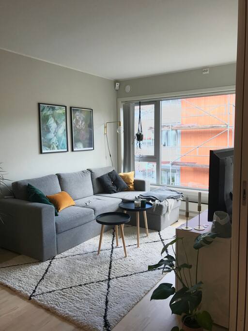 Stue med dobbel sovesofa