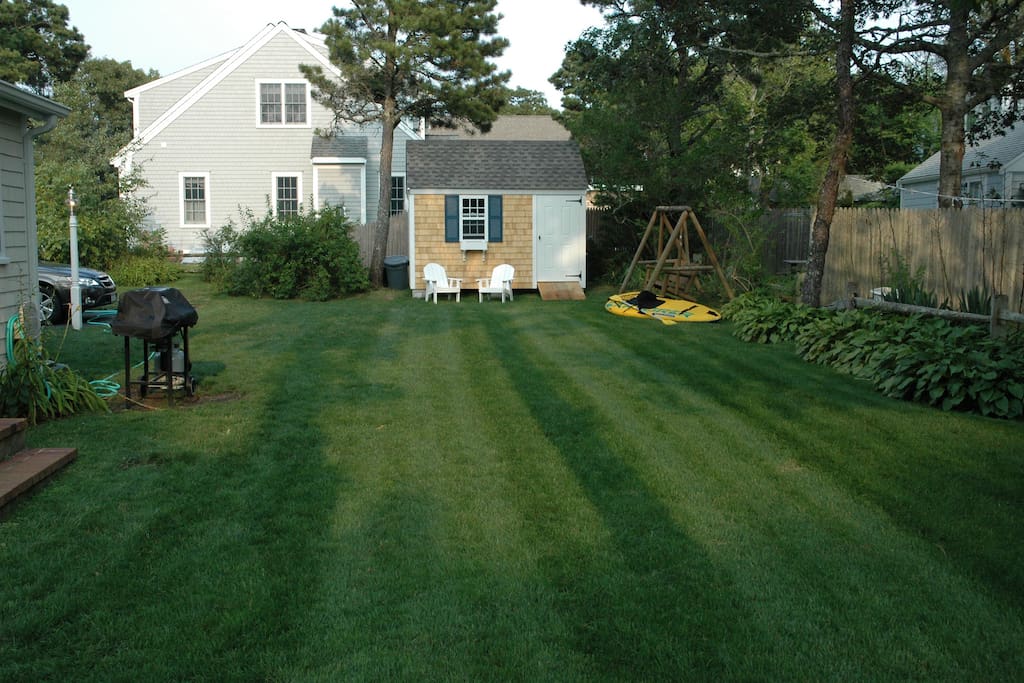 Backyard
