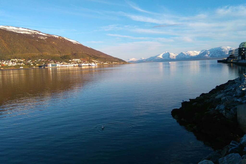Fjord photo from just outside the apt.