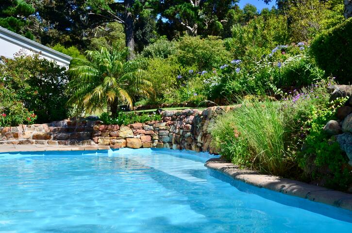 Companion House – Mountain & Bay View Estate gallery image 5