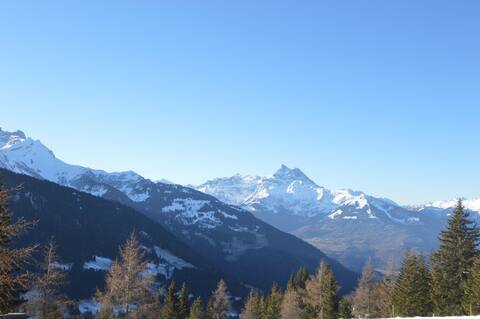 Little Swiss Haven