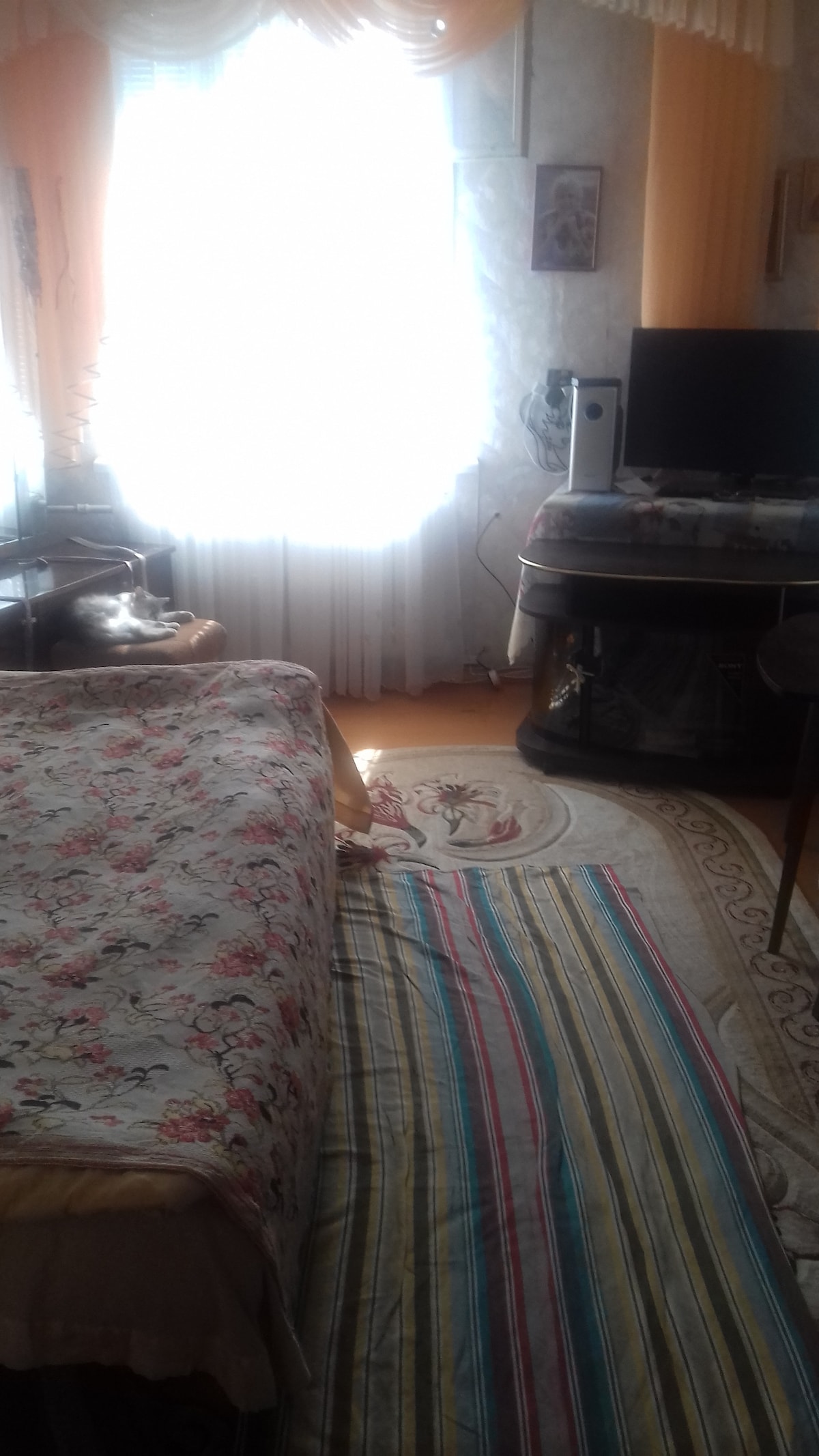 A cozy room features a spacious bed adorned with floral bedding. A colorful striped rug lies on the floor. Natural light filters through sheer curtains, illuminating the space. A wooden table and a television set are visible, contributing to a relaxed atmosphere.