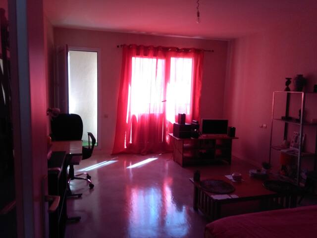 T1 BIS entier à Rennes-Cleunay