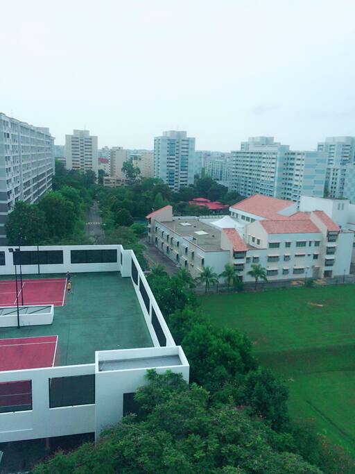 Window view