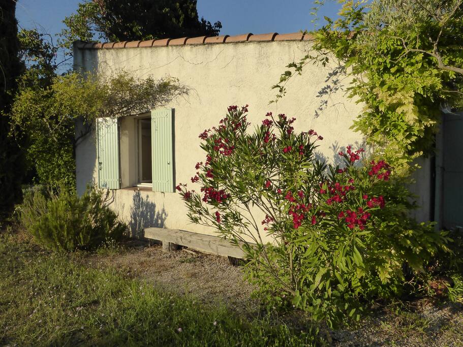 Côté ouest.