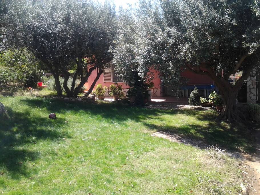 Panoramica del giardino