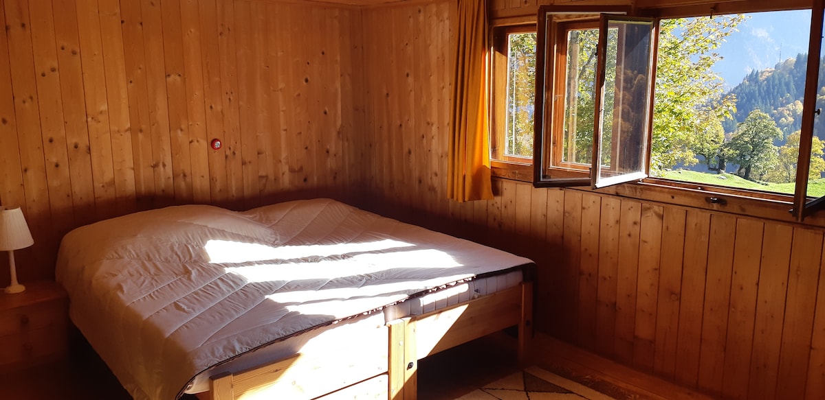 新房子里的双人床