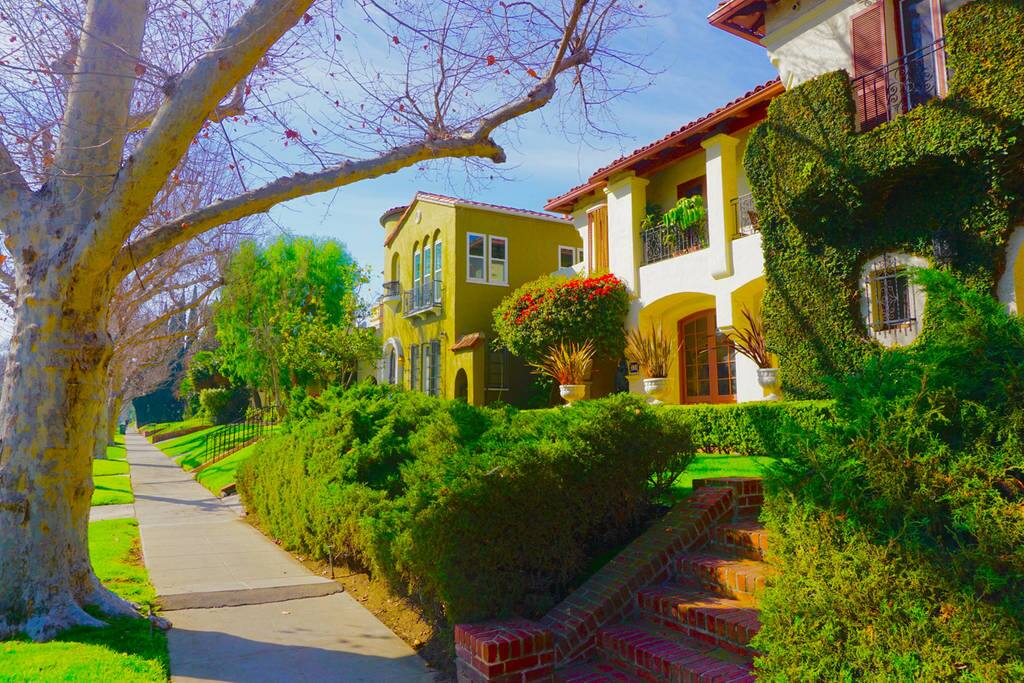 The Neighborhood
