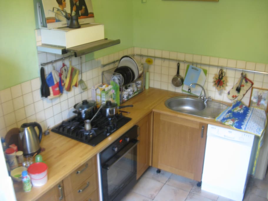 gas stove and electric oven, dishwasher and spacious fridge with freezer