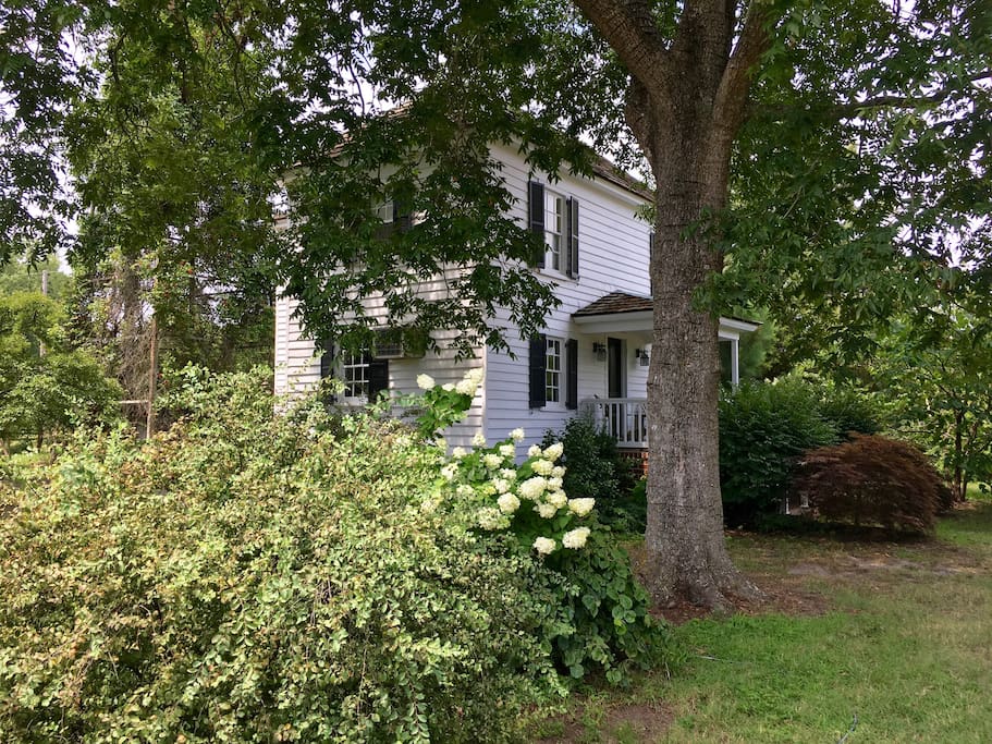 "No" House side view