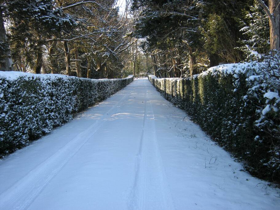 Entrée l'hiver