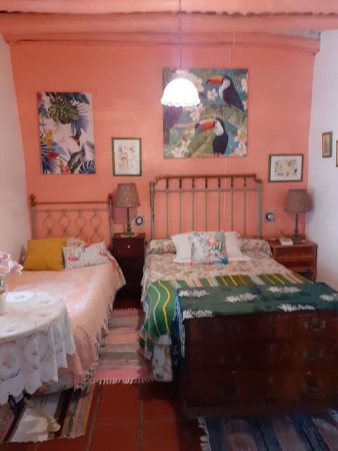 Pleasant farmhouse in the center of the town 10 minutes from the northern mountains of Seville
