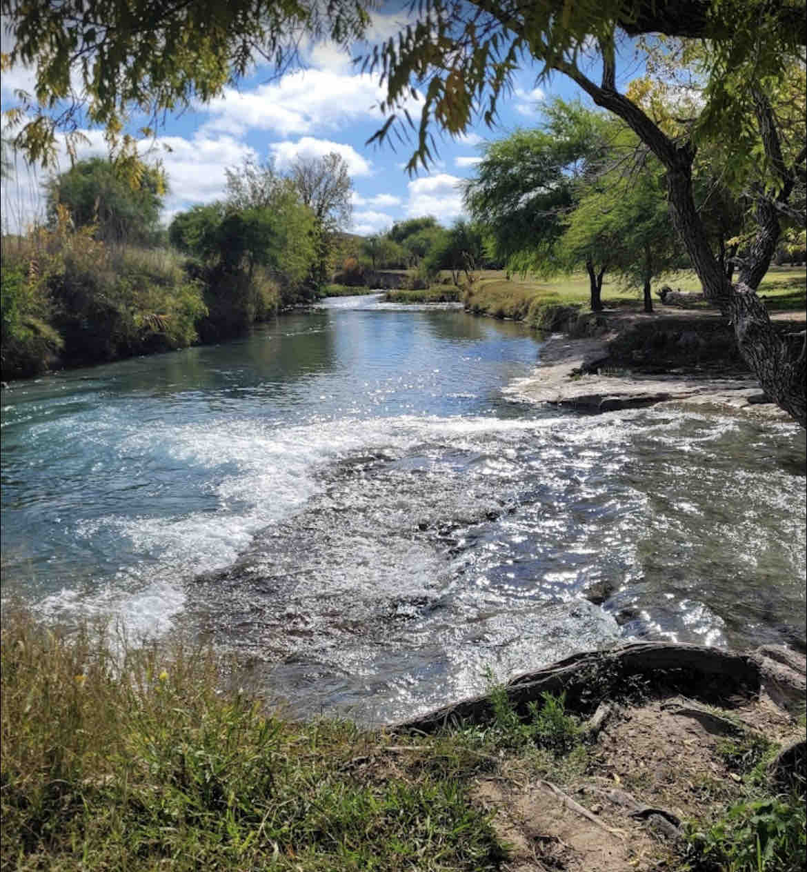 A tranquil river winds through a scenic landscape, where gentle ripples create a shimmering effect on the water's surface. Lush greenery flanks the banks, with trees providing shade and texture. The sky is bright with scattered clouds, enhancing the serene atmosphere.