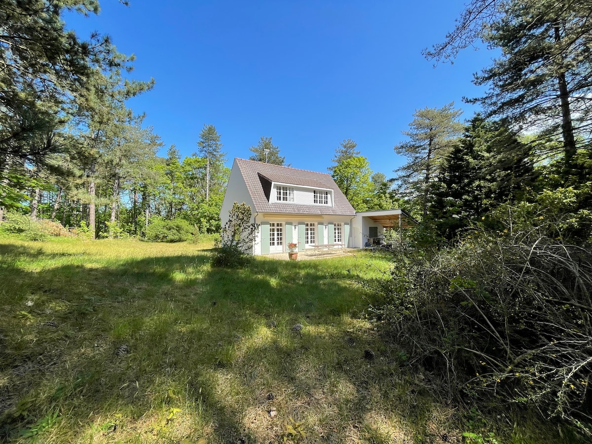 A charming villa is nestled among trees in a serene forest setting. Its light-colored exterior complements the natural surroundings, while large windows reflect the sunlight. The spacious garden features lush greenery, offering a peaceful retreat close to nature.