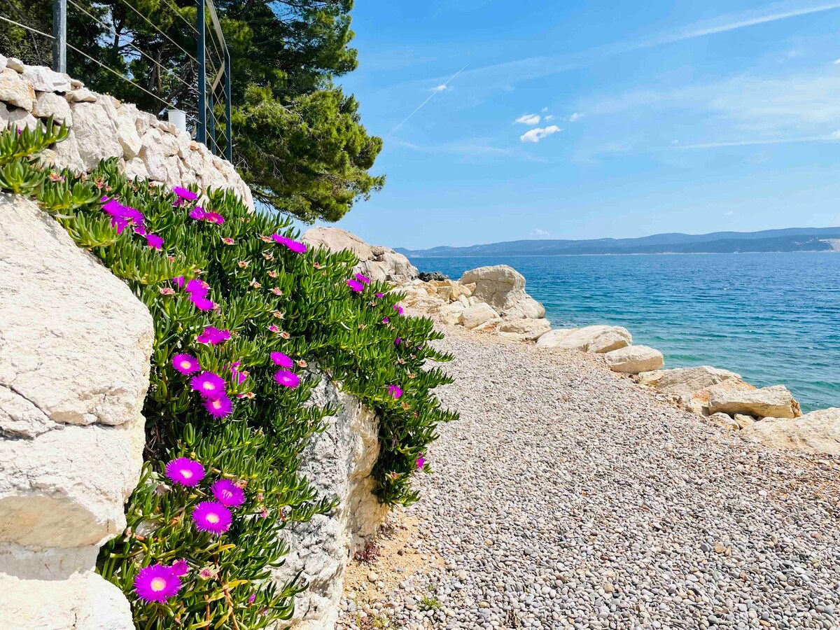 Čelina Vacation Rentals & Homes - Split-Dalmatia County, Croatia | Airbnb