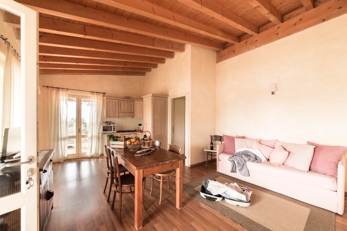 Top Airbnb: Two bedrooms aparment in farmhouse ground floor in San Vincenzo