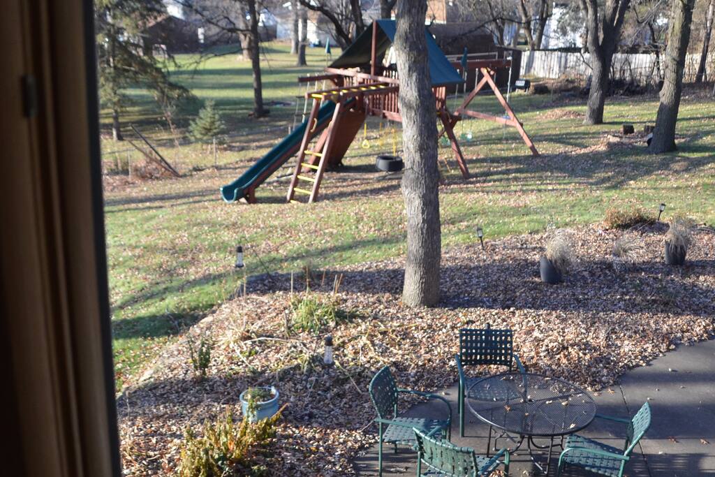 View of backyard from living room.