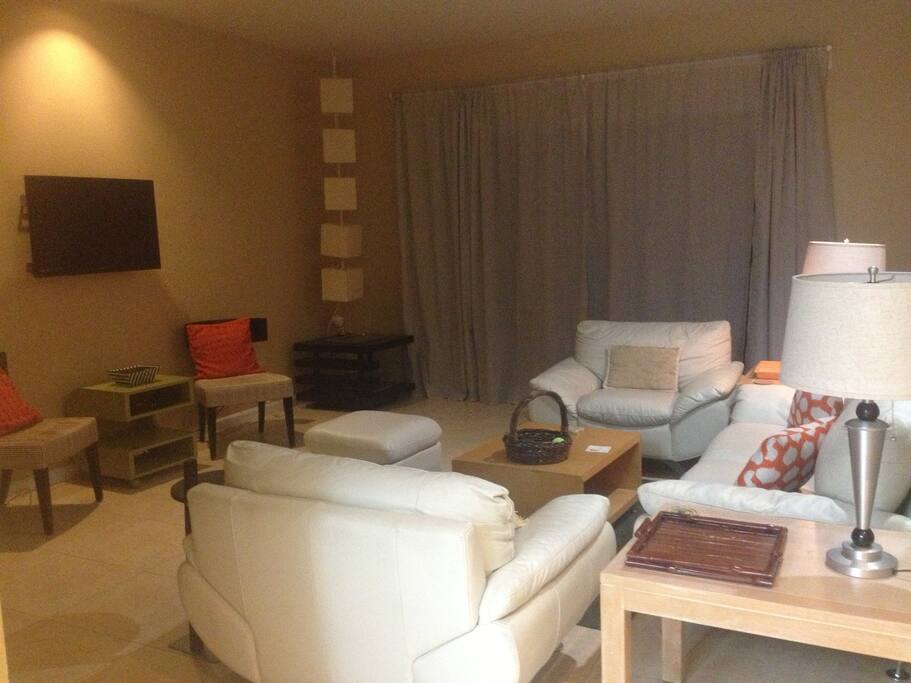Another pic of the modern living rom