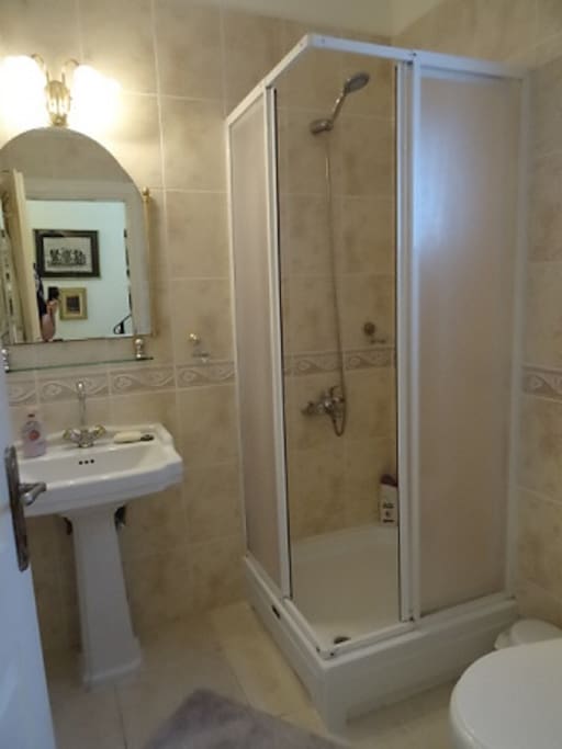 Private bathroom next to the downstairs room