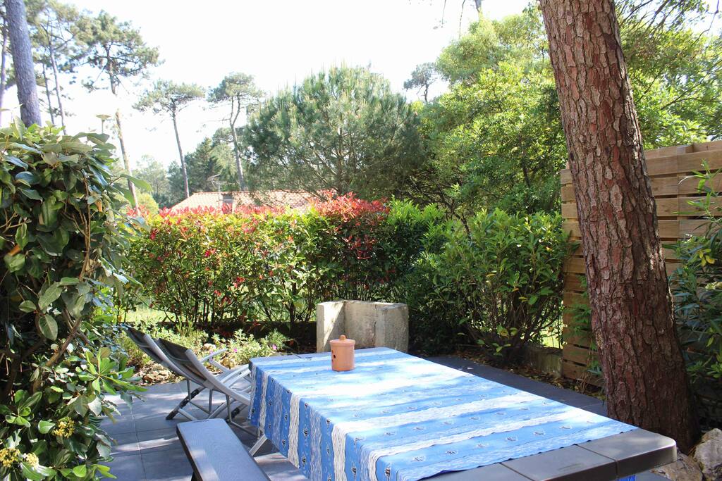 Terrasse Arrière Plein Sud