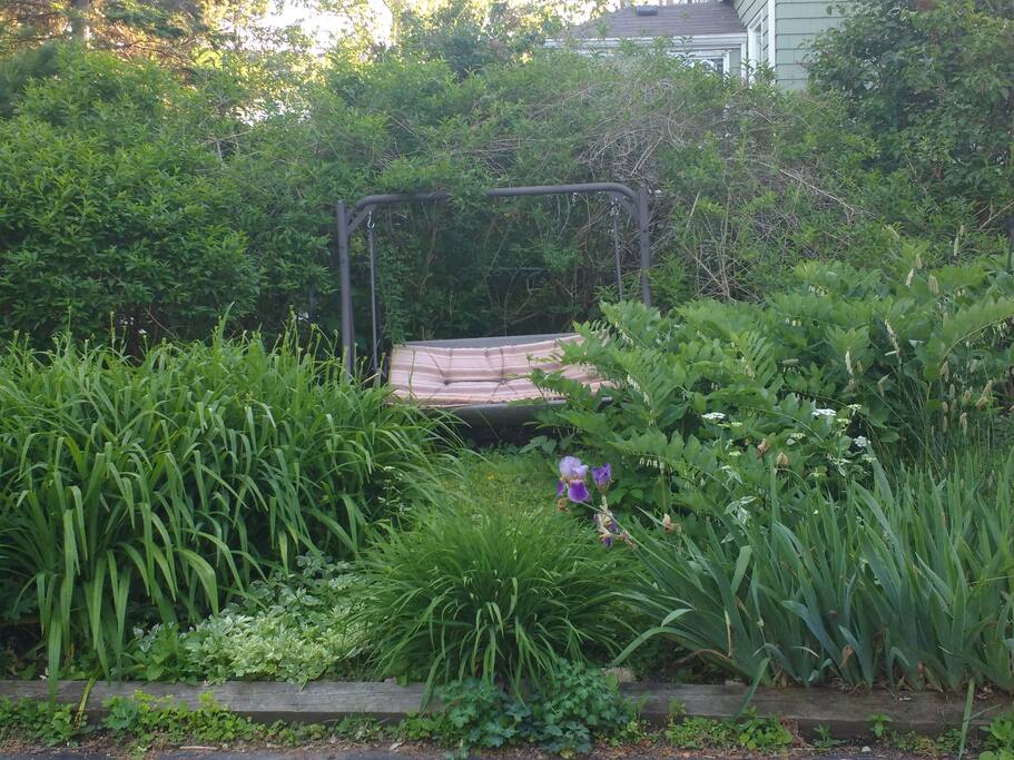 Our lovely garden